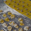 preparazione_tortellini_fatti_a_mano_di_norcia